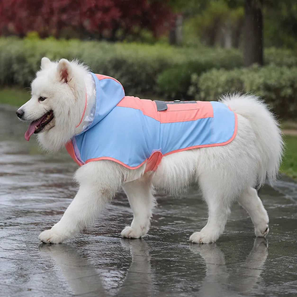 Large Dog Color Block Hooded Raincoat with Clear Visor - Sky Blue Pink 9