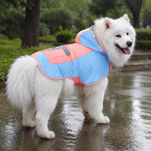 Large Dog Color Block Hooded Raincoat with Clear Visor