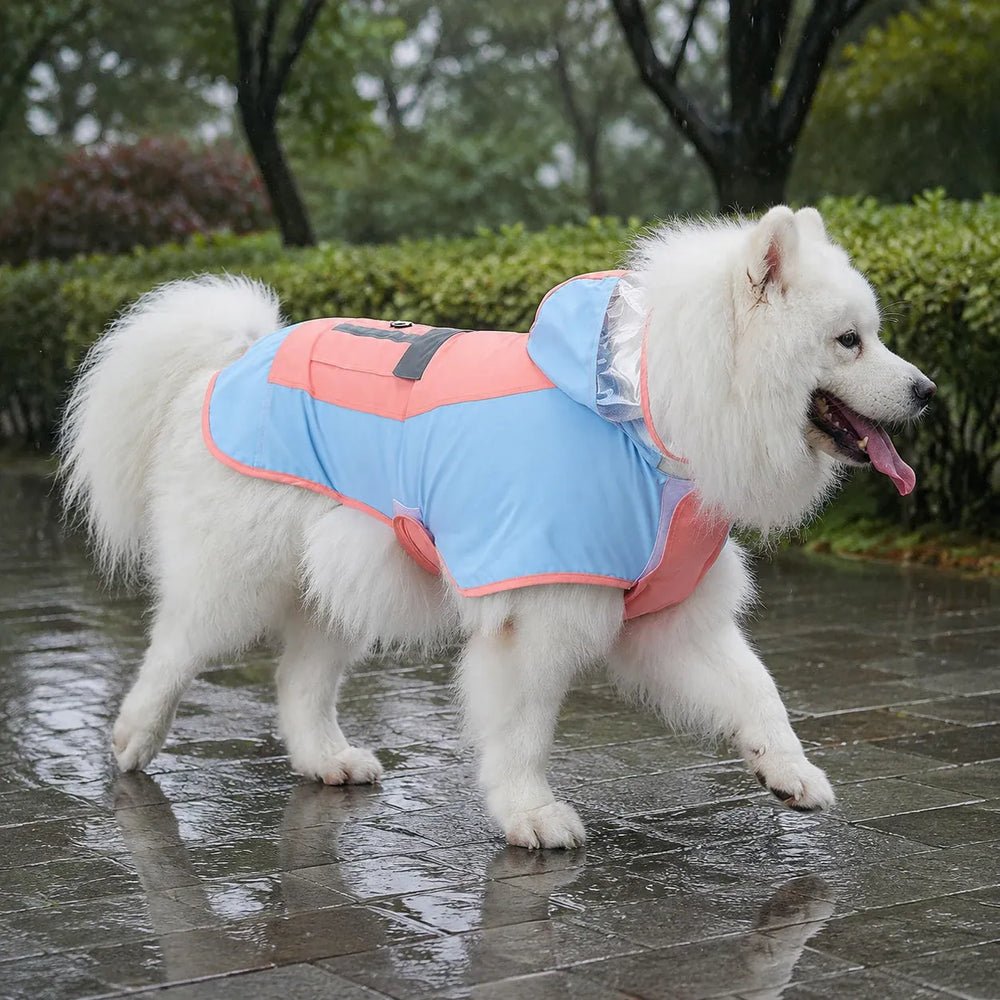 Large Dog Color Block Hooded Raincoat with Clear Visor