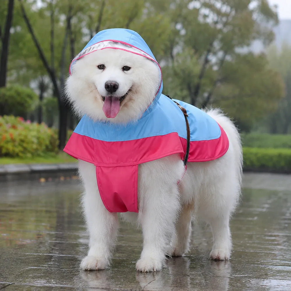 Large Dog Two-Tone Hooded Rain Cape with Clear Visor