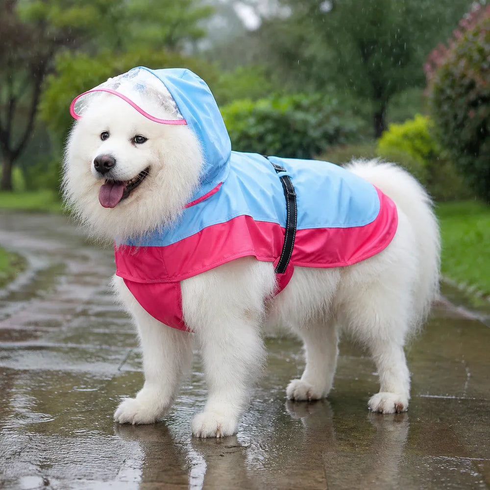 Large Dog Two-Tone Hooded Rain Cape with Clear Visor