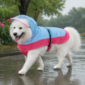 Large Dog Two-Tone Hooded Rain Cape with Clear Visor
