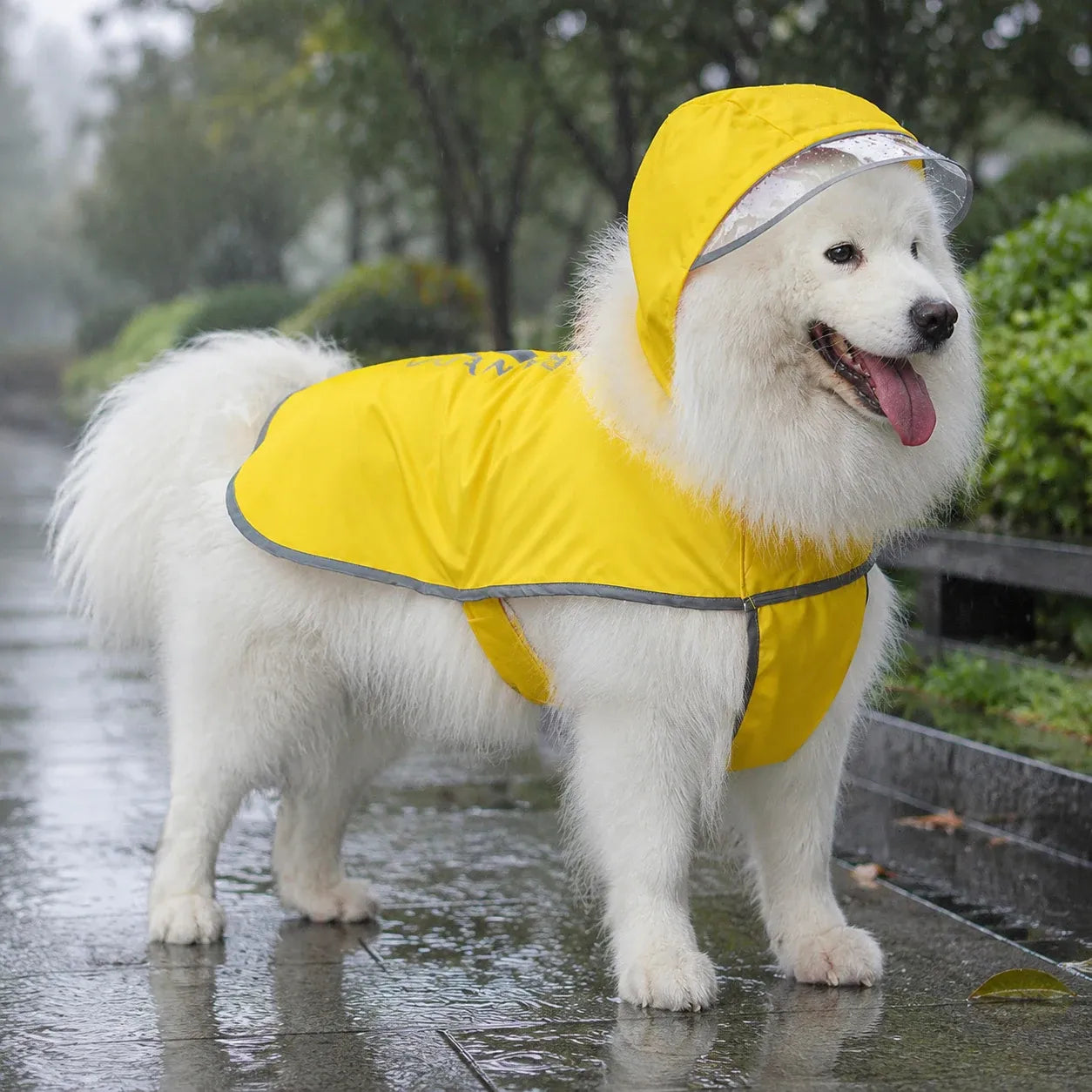 Large Dog Reflective Waterproof Rain Cape with Clear Visor - Yellow 4