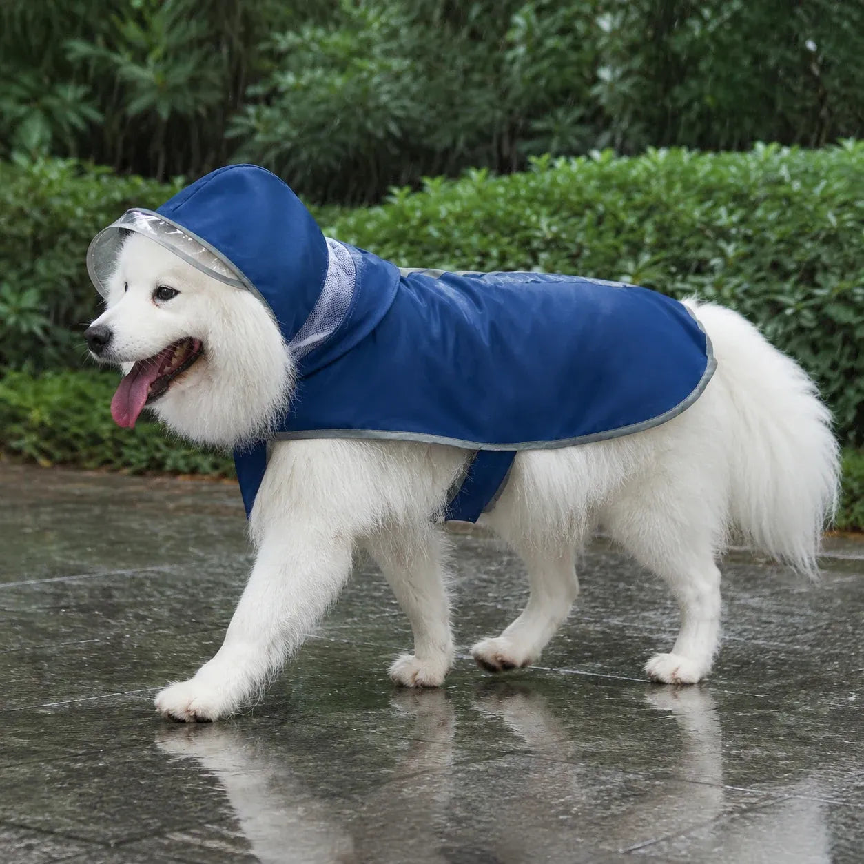 Large Dog Reflective Waterproof Rain Cape with Clear Visor - Navy Blue 9