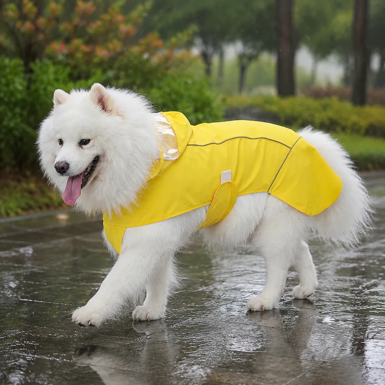 Large Dog Waterproof Hooded Rain Cape with Clear Visor - Yellow 6