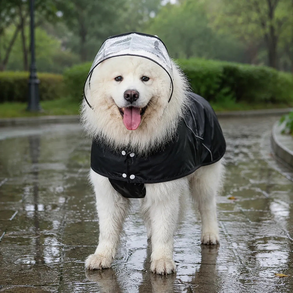 Large Dog Black Waterproof Rain Cape with Clear Visor