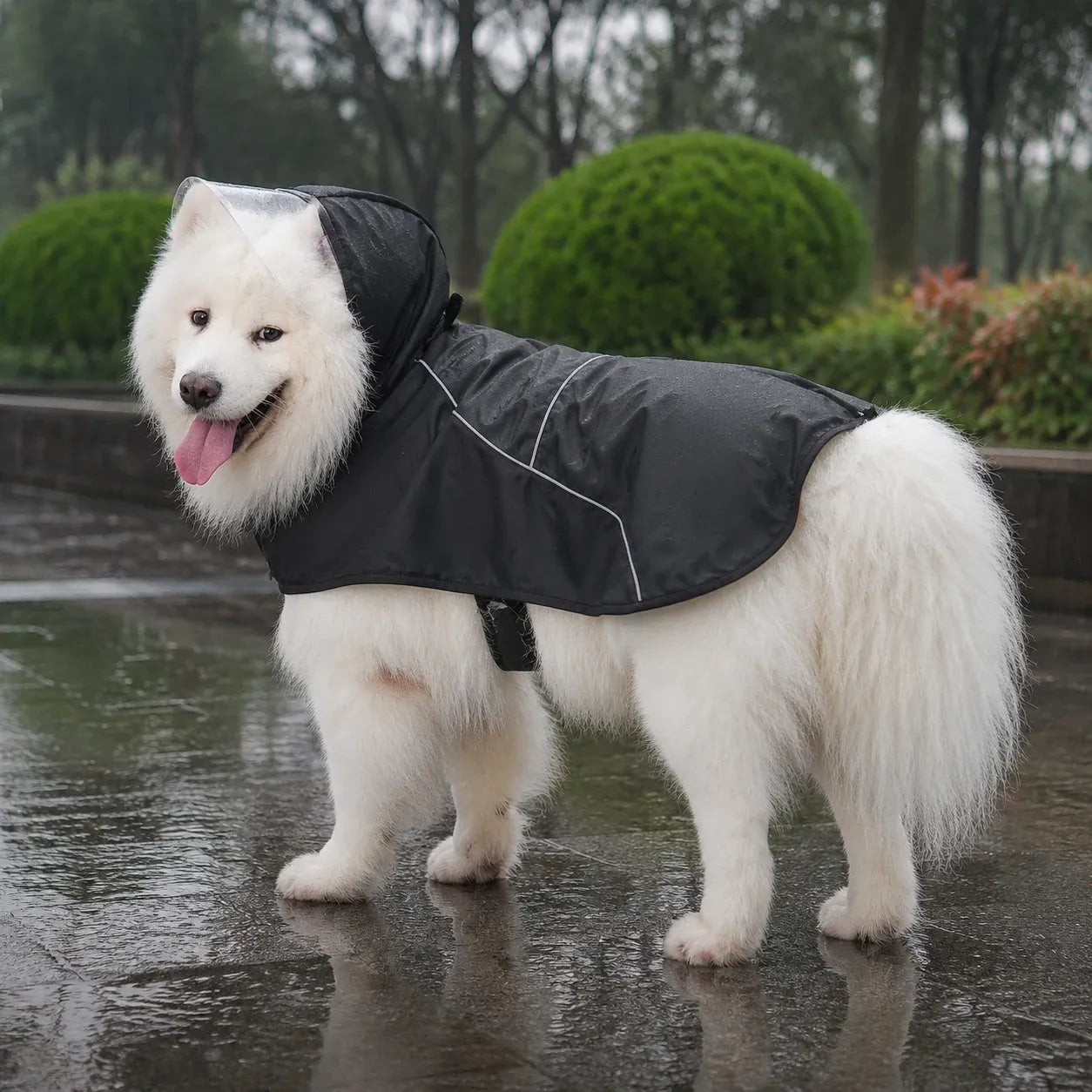 Large Dog Black Waterproof Rain Cape with Clear Visor - 7