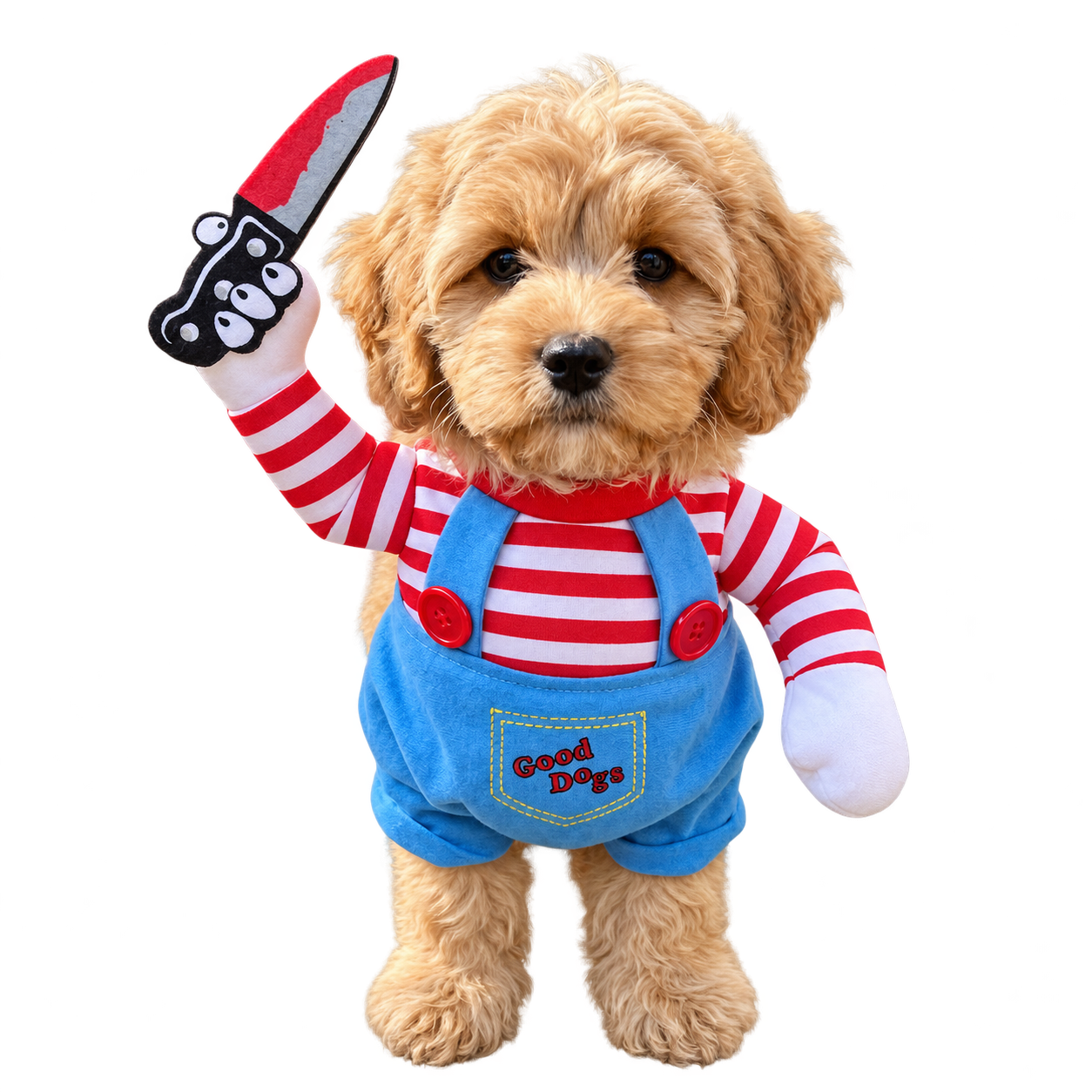 Fluffy dog in the red striped Chucky costume and blue overalls